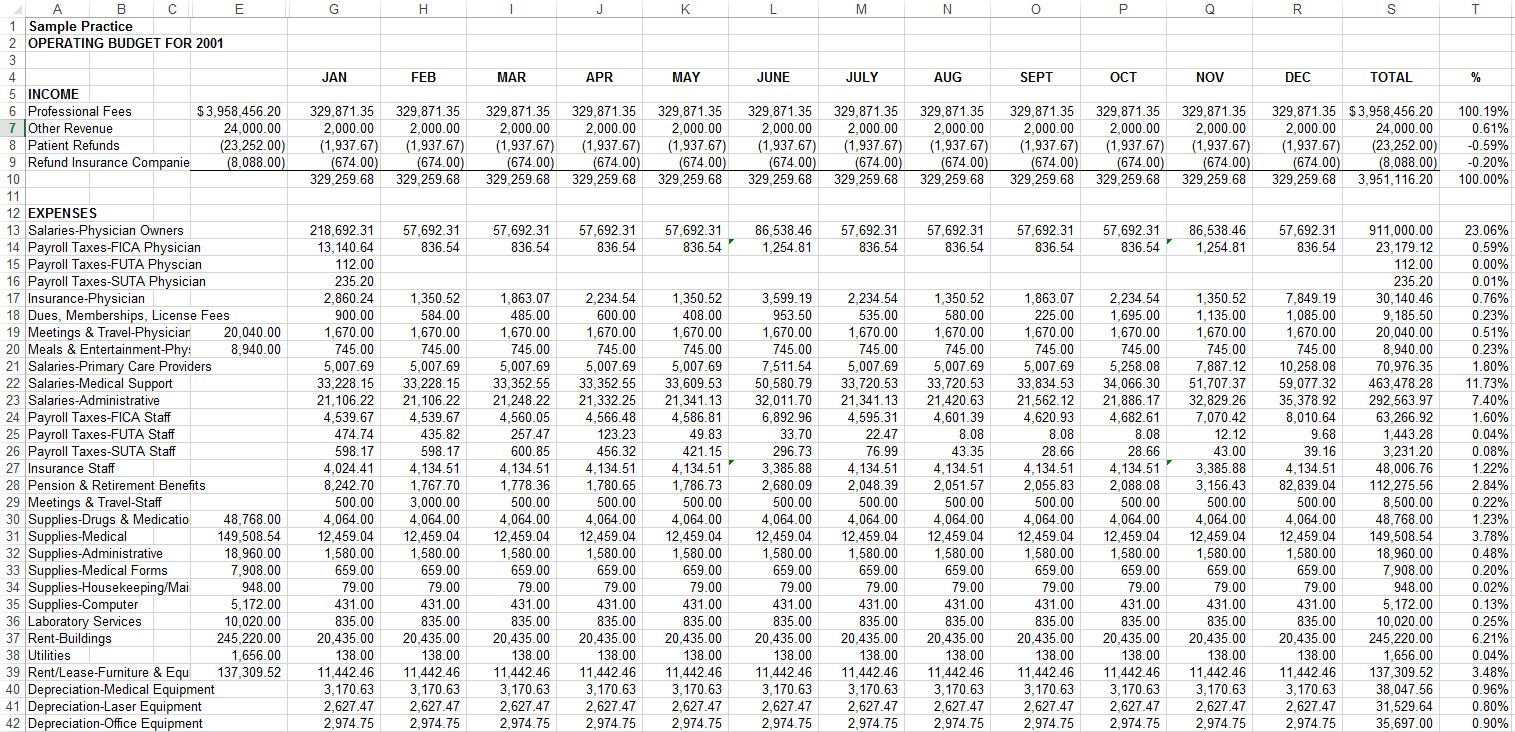 spreadsheet budget for medicine monthly expenses