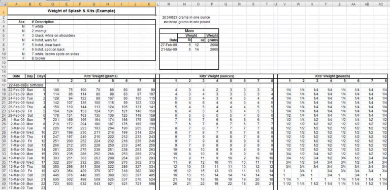 Medicine Spreadsheet — db-excel.com