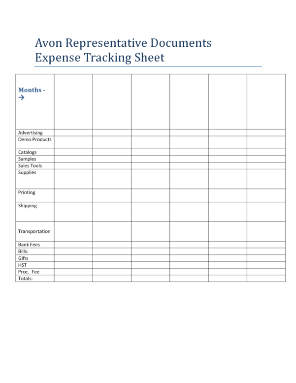 daily expenses worksheet software