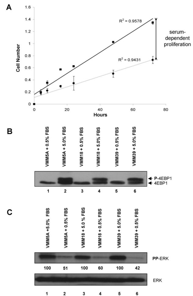 Ncci Edits 2018 Excel Spreadsheet With Synergistic Inhibition Of Human Melanoma Proliferation