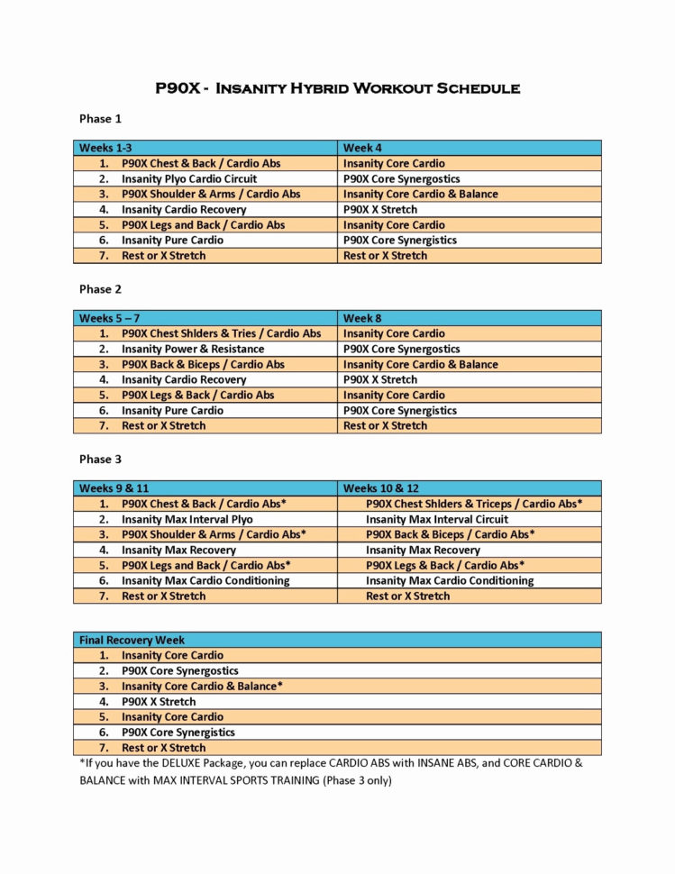 P90X Excel Spreadsheet In 15 Awesome P90X3 Excel Spreadsheet  Www.iaeifl