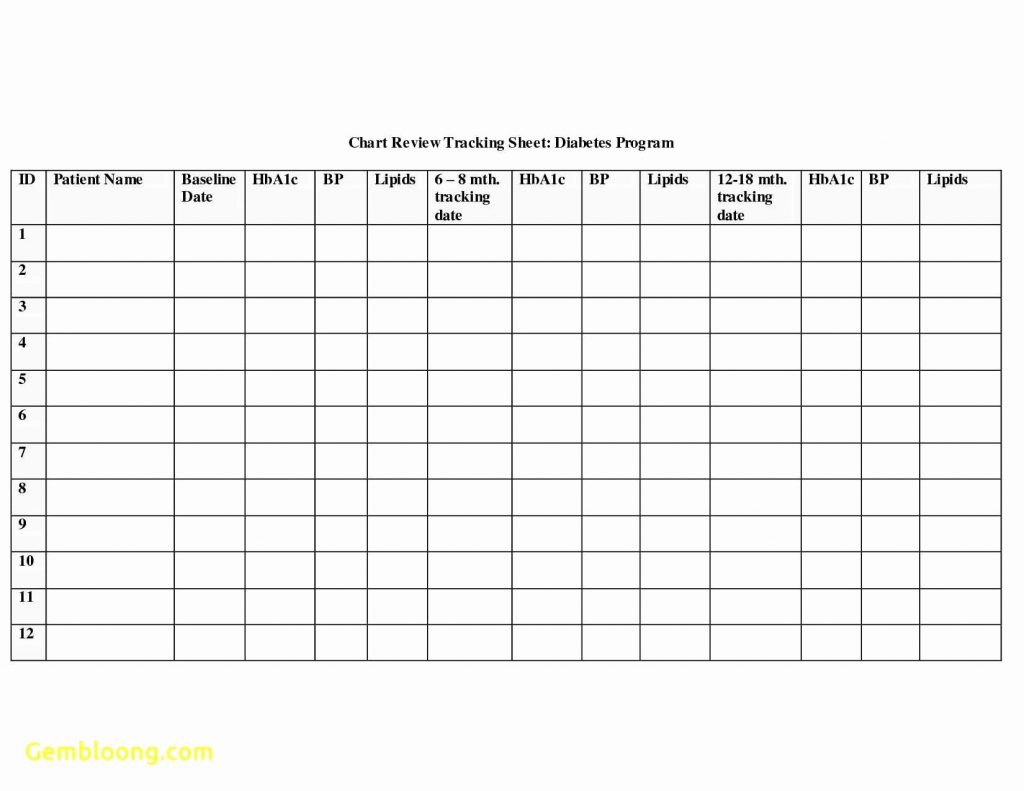 Patient Tracking Excel Template