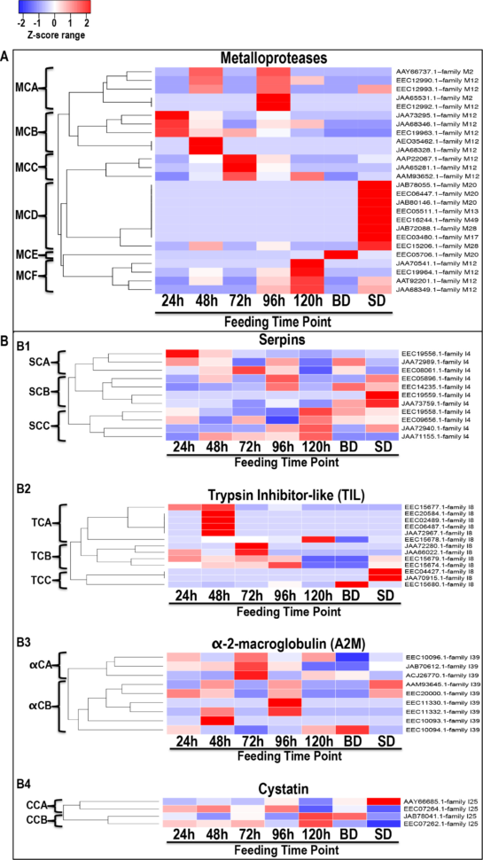 Pci Dss 3.2 Spreadsheet Pertaining To Pci Dss 3.2 Requirements Spreadsheet – Spreadsheet Collections