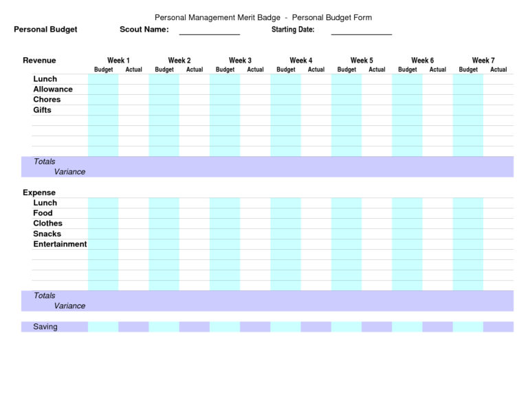 personal management merit badge budget sample