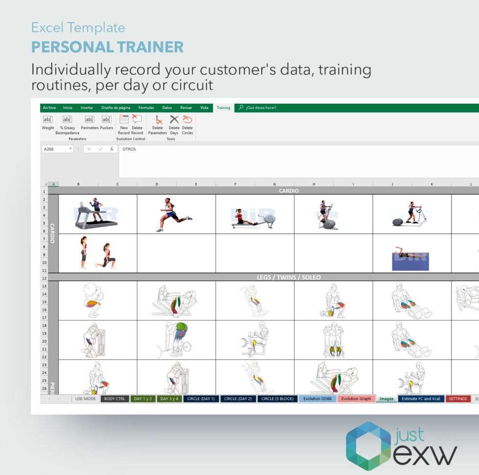 Personal Training Client Excel Spreadsheet Spreadsheet Downloa personal ...