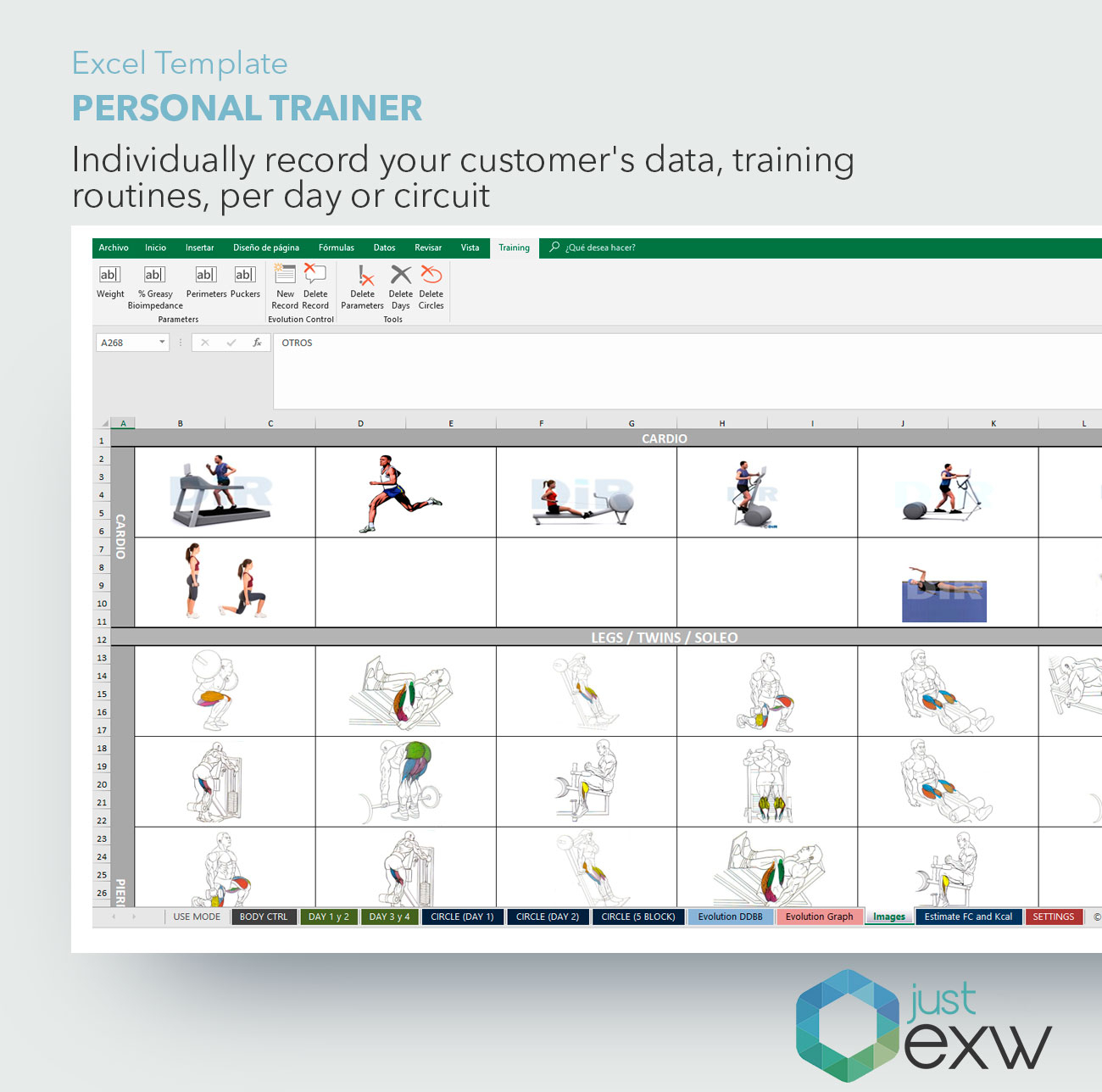 Personal Training Client Excel Spreadsheet with regard to Personal Trainer Template  Excel Training Plan Model  Workout Chart