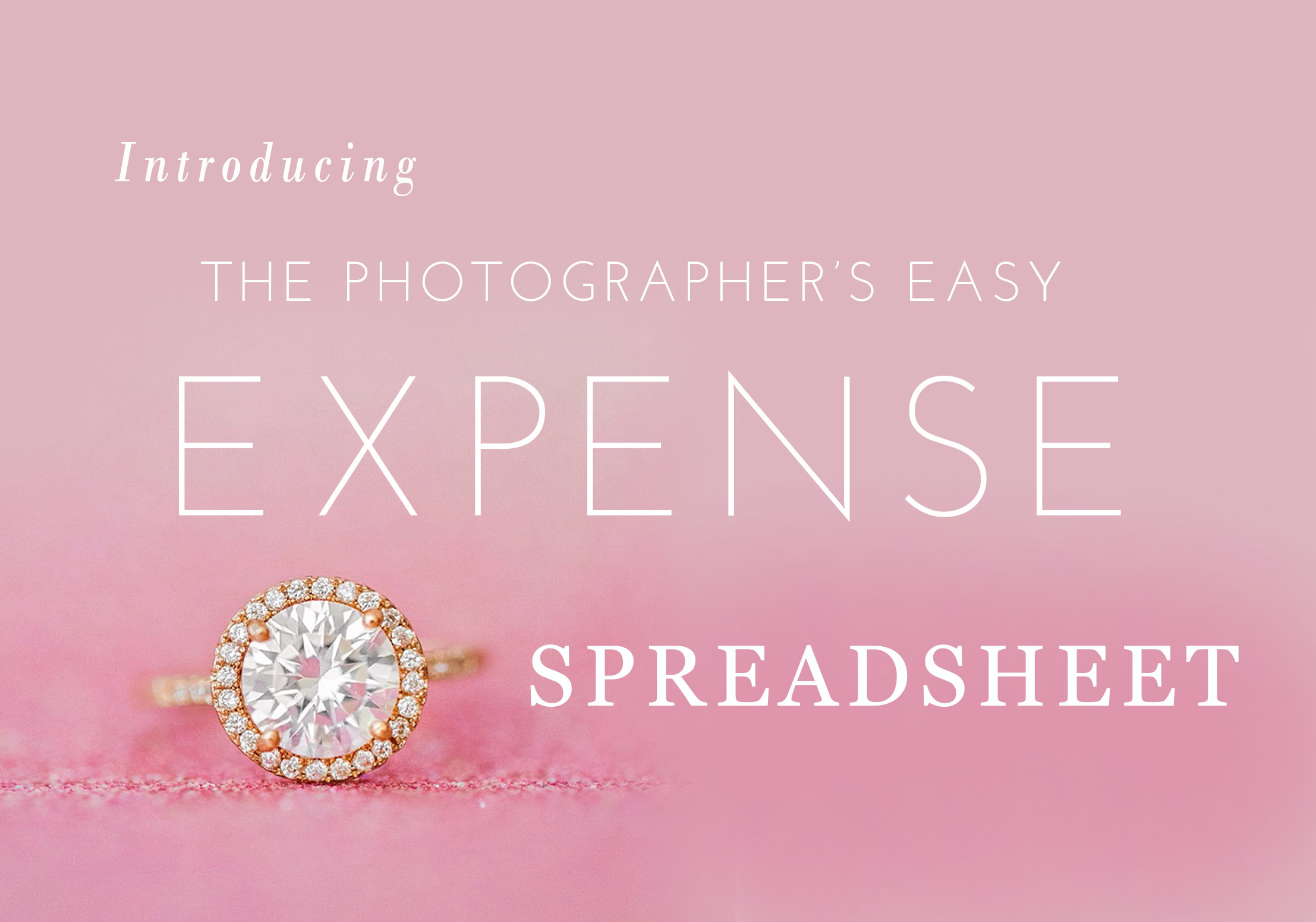 Photographer Expenses Spreadsheet With Expense And Income Spreadsheet For Photographers  Jessica Roberts