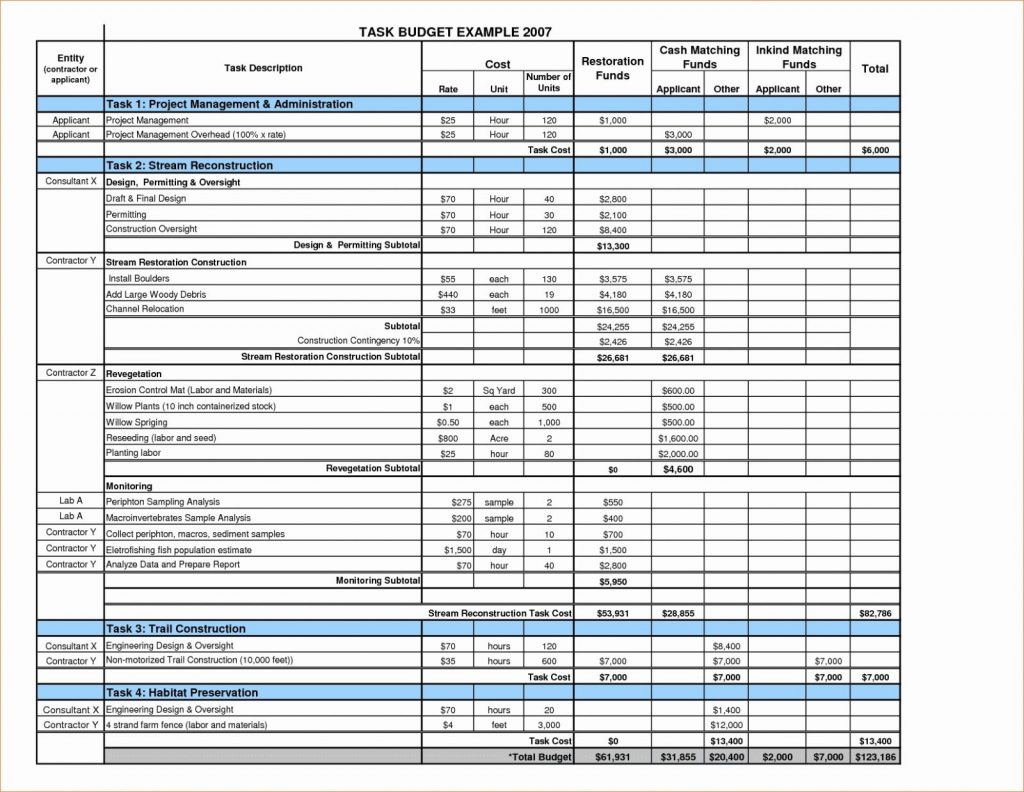 cost management plan example software