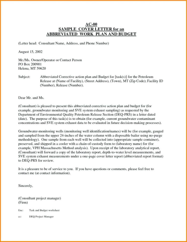 Proposal Spreadsheet With Regard To Template Community Service Project Proposal Spreadsheet Examples Of