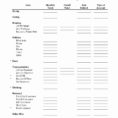 Ramsey Snowball Spreadsheet With Regard To Debt Elimination Worksheet Dave Ramsey Snowball Excel Lovely Unique