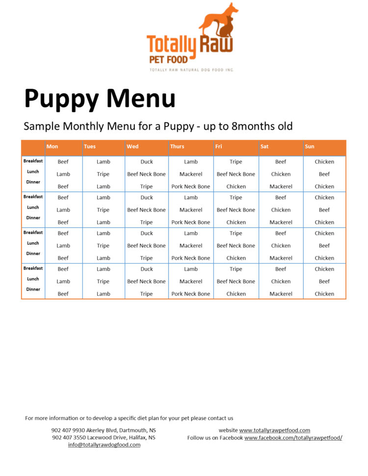 Raw Feeding Spreadsheet For Raw Feedingpreadsheet On Debtnowball Numbers Askoverflow Raw Feeding Spreadsheet For Raw Feedingpreadsheet On Debtnowball Numbers Askoverflow