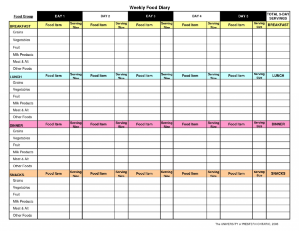 Slimming World Food Diary Spreadsheet — db-excel.com