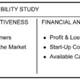 Small Business Financial Analysis Spreadsheet For Figure 12  Business Analysis