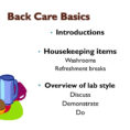 Spreadsheet Basics Ppt Throughout Ppt  Back Care Basics Powerpoint Presentation  Id:1961673