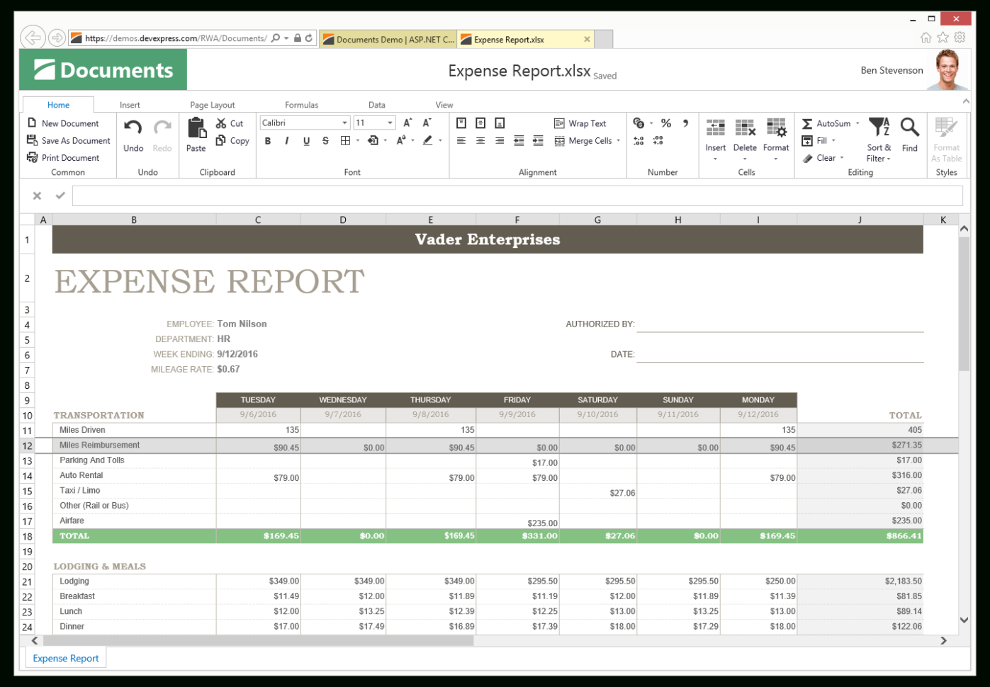 Spreadsheet Controls For Asp Spreadsheet  Excel Inspired Spreadsheet Control  Devexpress