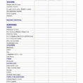 Spreadsheet Design Services With Social Media Tracking Spreadsheet Budget Template New Design