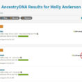 Spreadsheet For Ancestry Dna Matches for Ancestrydna® Matches