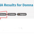 Spreadsheet For Ancestry Dna Matches For Searching, Sorting And Filtering Your Dna Matches – Donna Rutherford