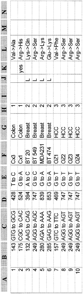 Spreadsheet Format With Section Of The Database In Excel Spreadsheet Format Showing Record 1