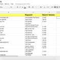 Spreadsheet Keywords In Beginner's Guide To Keyword Mapping  Search Engine Optimization