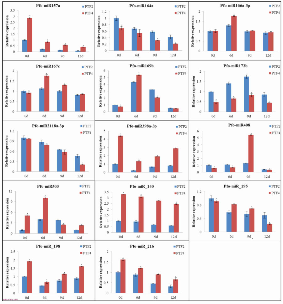Sprint Planning Spreadsheet Intended For Sprint Planning Spreadsheet Elegant Resume Templates Maryforauditor