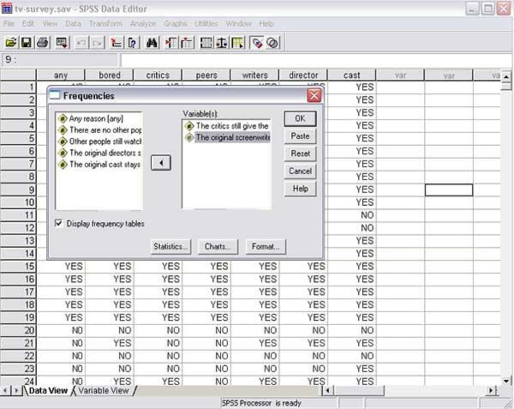 Spss Spreadsheet with Spss  Download