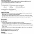 Technician Productivity Spreadsheet Intended For Spreadsheet Ideas Collection Excellent Aircraft Technician Resume