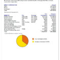 Total Compensation Spreadsheet With Regard To Employee Benefit Statement Examples Plan Financial Statements