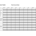 Track Your Expenses Spreadsheet In Effective Budget And Expense Organizer Template For Personal