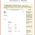 Treasurer&#039;s Report Excel Spreadsheet For Magnificent Treasurer Report Template Excel ~ Ulyssesroom