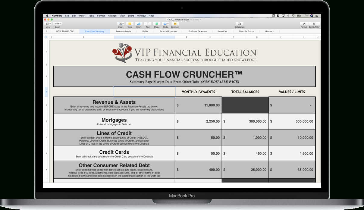 Vip Financial Education Spreadsheet Download Within Cash Flow Cruncher™ Financial Spreadsheet  Better Than A Budget