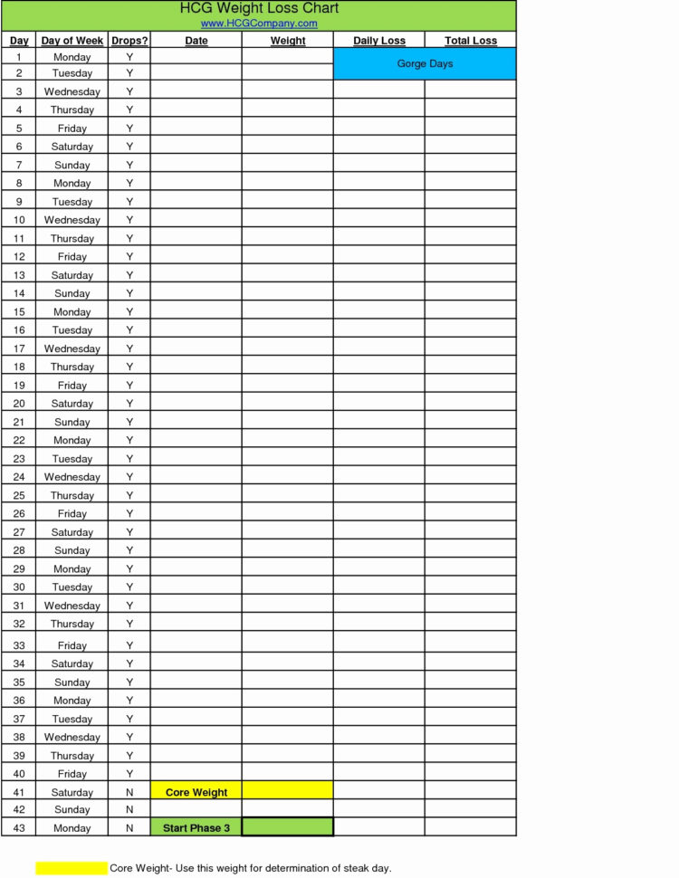 Weight Tracking Spreadsheet For Sheet Weight Loss Tracker Spreadsheet Challenge For Free Tracking