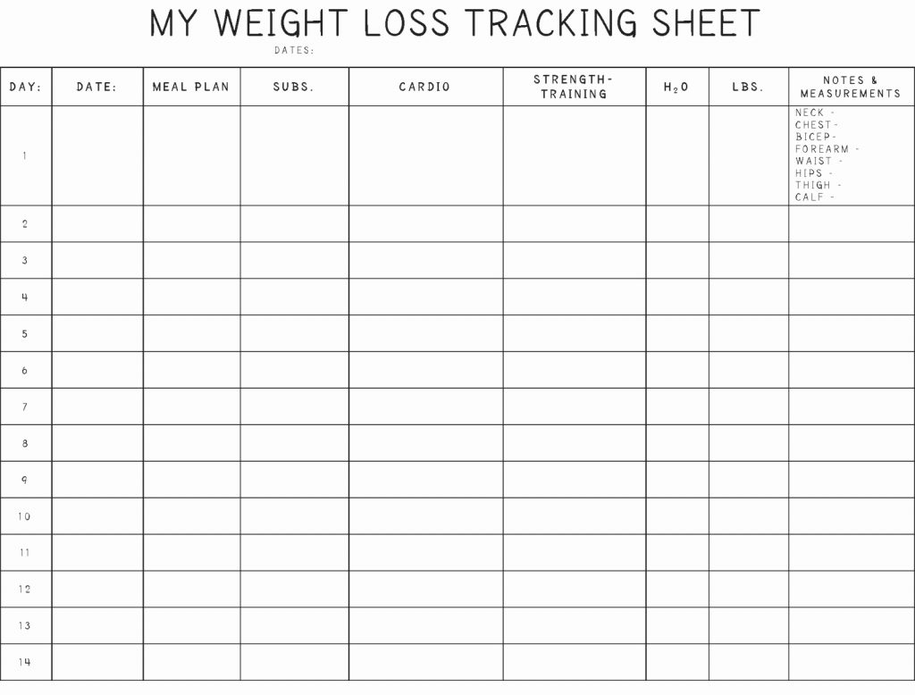 weight tracker template for excel