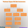 Whole Life Insurance Spreadsheet In Life Insurance Policies: Different Types Of Life Insurance Policies