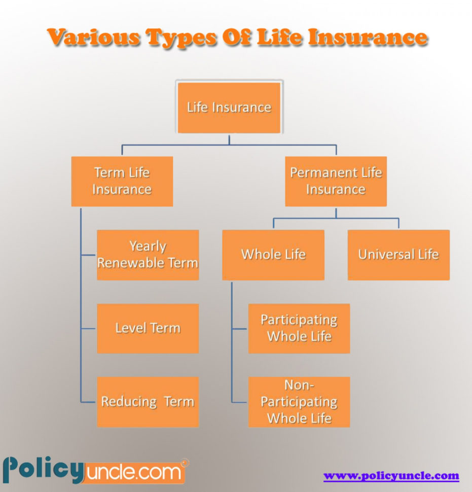 Whole Life Insurance Spreadsheet Spreadsheet Downloa whole life ...