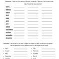 006 Printable Spanish Englishs Worksheets Spelling Months Of The