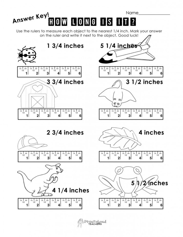 008 Measurement Practice Printable Word Problems Inches