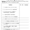 011 Edit My Essay Revising And Editing Worksheets Example Of