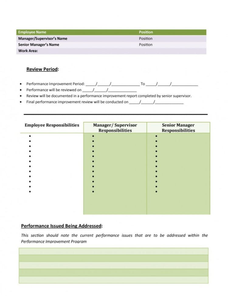 017 Performance Improvement Plan Worksheet