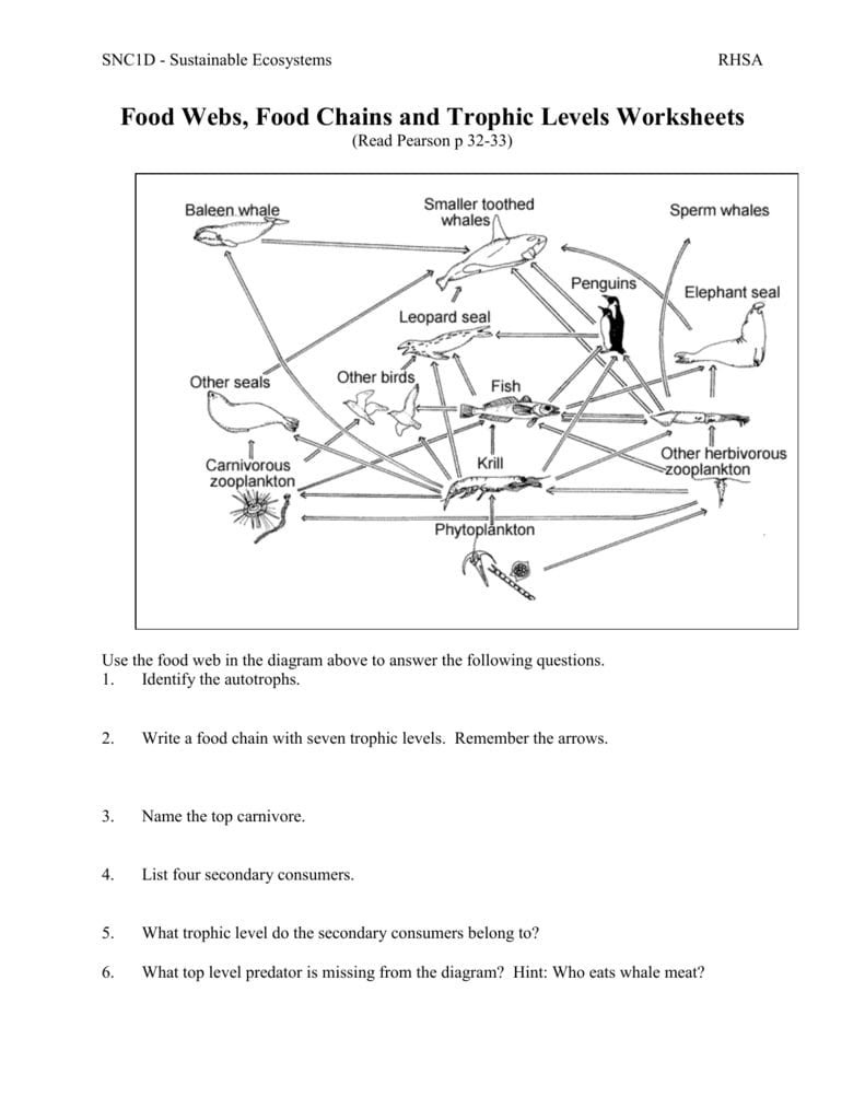 02 Food Webs Chains Trophic Levels Ws Db excel