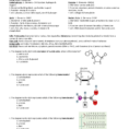 1 Biomoleculesteacher Key