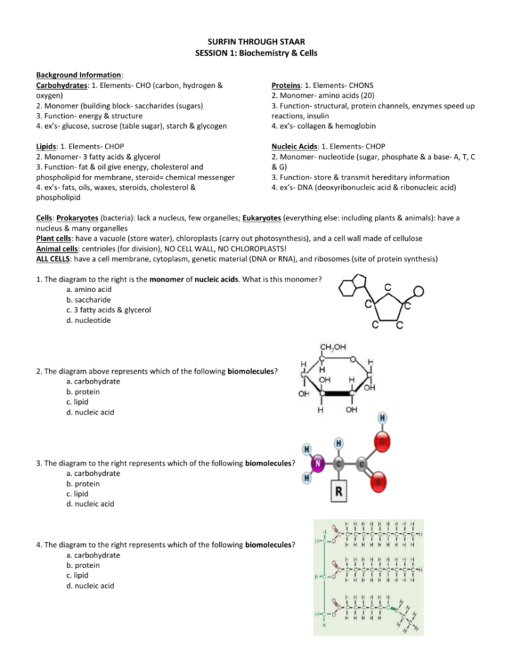 homework the function of biomolecules