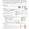 1 Cell Reproduction Worksheet