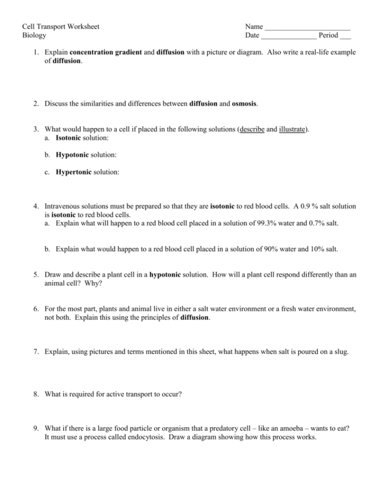10 Cell – Passive Transport Worksheet