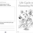10 Readytogo Resources For Teaching Life Cycles  Scholastic