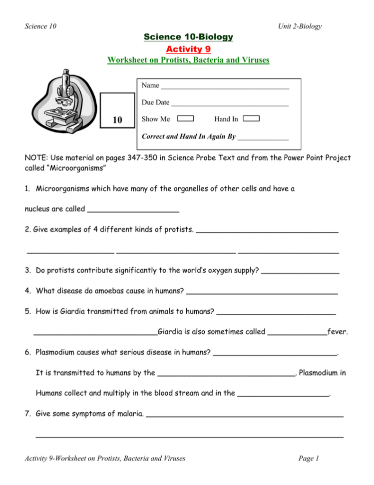 10 Science 10Biology Activity 9 Worksheet On Protists Bacteria And