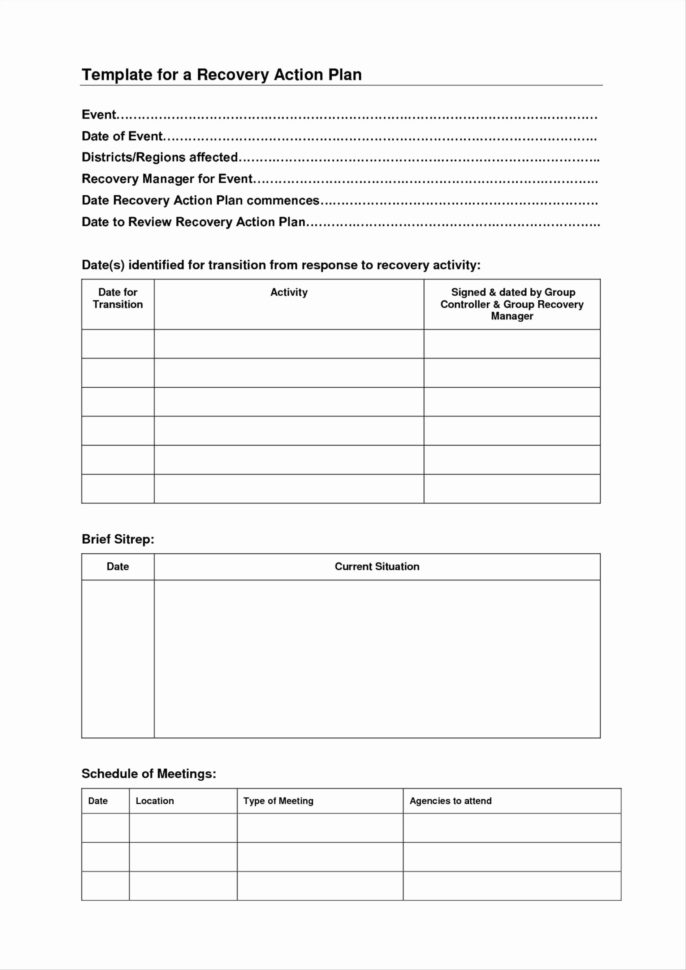 10 Wellness Recovery Action Plan   Pdf Word