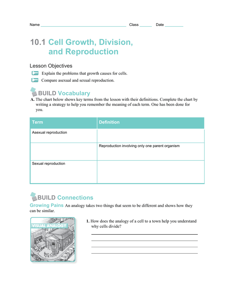 101 Cell Growth Division And Reproduction