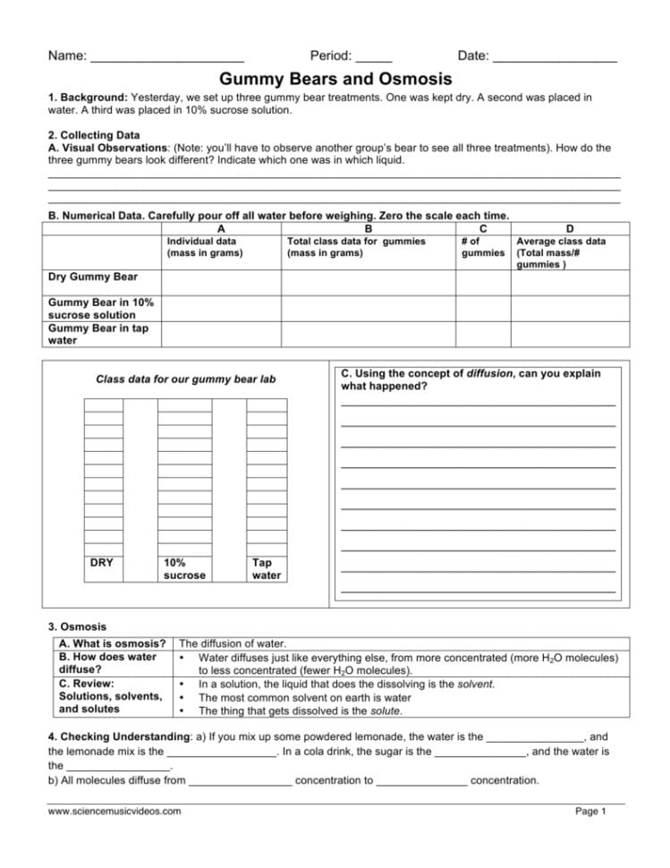 10Gummy Bears Osmosis Lab And Worksheet