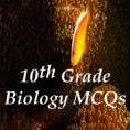 10Th Grade Biology Mcqs Multiple Choice Questions And Answers Quiz   Tests With Answer Keys Ebookarshad Iqbal  Rakuten Kobo